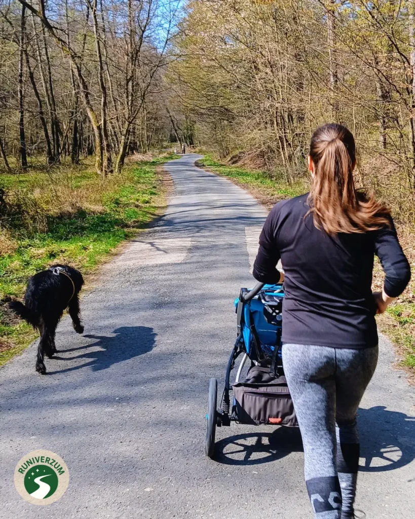 Babakocsis futás erdőben kutyával
